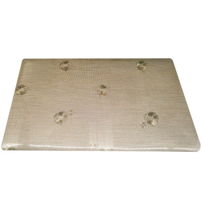 Modern Style Eco-friendly Dinning Mat for Table Decoration Transparent Conch Design